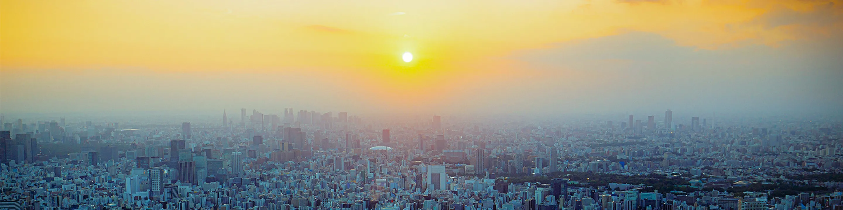 main visual